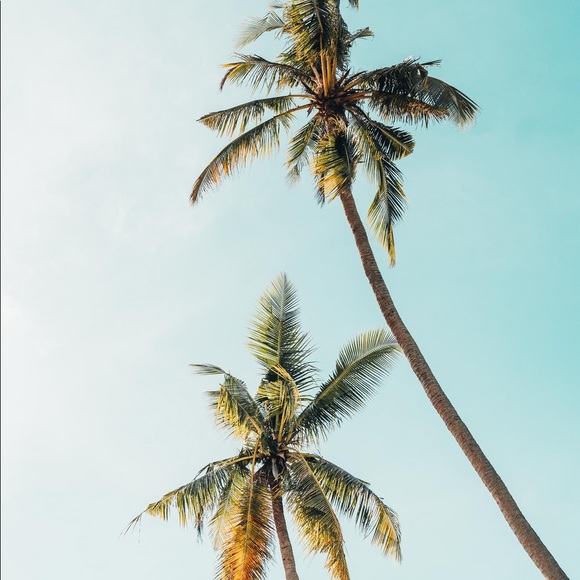 Meet your Posher, K Shop - Picture 1 of 1